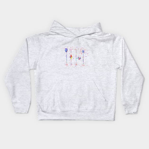 Four types of neurons Kids Hoodie by RosaliArt